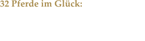 32 Pferde im Glck: Wir besuchten die Menschen und Tiere der Tierschutzorganisation Schutzengel fr Tiere.