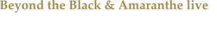 Beyond the Black & Amaranthe live Die Bands gaben sich zusammen mit Ad Infinitum und den Butcher Babies in Oberhausen die Ehre.