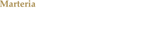 Marteria Ein groartiger Konzertabend mit Knstler und Publikum in Eskalationslaune.