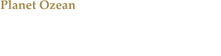 Planet Ozean Die Ausstellung im Gasometer Oberhausen zeigt die fragile & faszinierende Schnheit der Weltmeere.