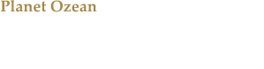 Planet Ozean Die Ausstellung im Gasometer Oberhausen zeigt die  faszinierende Schnheit der Weltmeere.