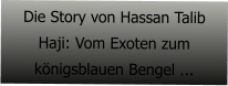 Die Story von Hassan Talib Haji: Vom Exoten zum königsblauen Bengel ...