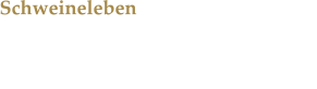 Schweineleben Interview mit den Schutzengeln fr Tiere, die sich um den Schutz sog. Nutztiere kmmern.